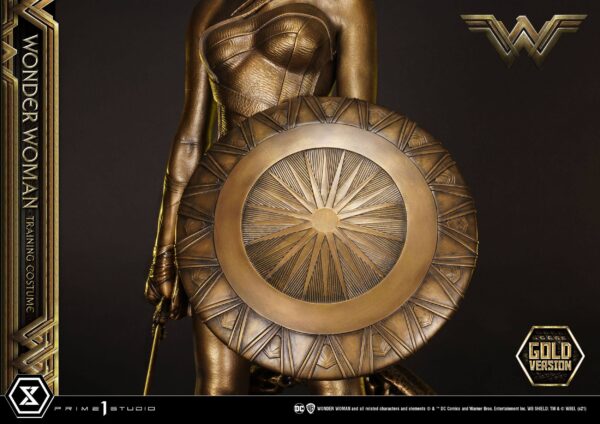Descubre el apasionante mundo de Estatua Wonder Woman Training Costume.