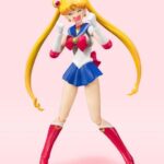 Descubre el apasionante mundo de Figura Sailor Moon Animation Color Edition.