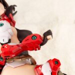 Descubre el apasionante mundo de Estatua Asra Ninja Bonus Edition.