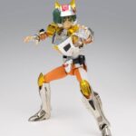 Descubre el apasionante mundo de Figura Steel Saint Landcloth Daichi.