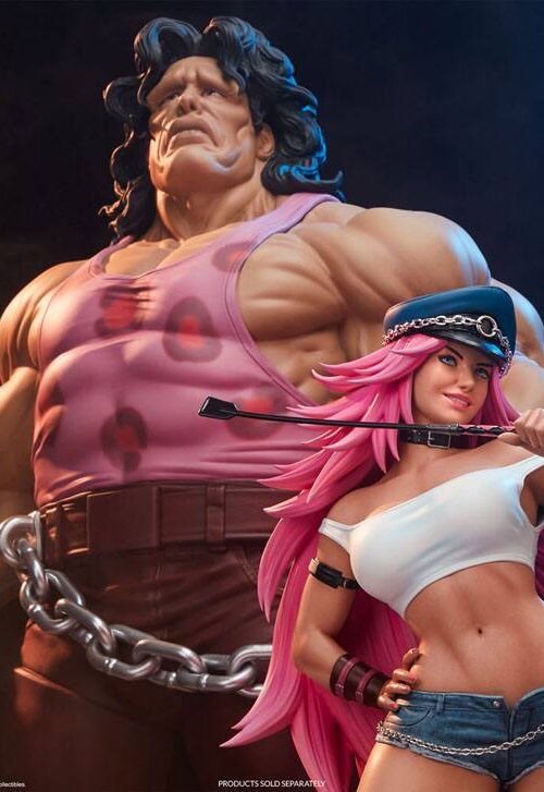 Descubre el apasionante mundo de Estatua Street Fighter Poison.