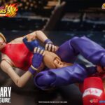 Descubre el apasionante mundo de Figura King of Fighters Blue Mary.