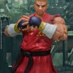 Descubre el apasionante mundo de Figura Tekken Paul Phoenix.