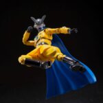 Descubre el apasionante mundo de Figura SH Figuarts Gamma 2 14cm.