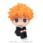 Descubre el apasionante mundo de Estatua Look Up Shoyo Hinata.