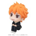 Descubre el apasionante mundo de Estatua Look Up Shoyo Hinata.