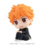 Descubre el apasionante mundo de Estatua Look Up Shoyo Hinata.