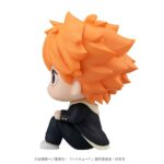 Descubre el apasionante mundo de Estatua Look Up Shoyo Hinata.
