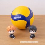 Descubre el apasionante mundo de Estatua Look Up Shoyo Hinata.