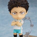 Descubre el apasionante mundo de Figura Nendoroid Hajime Iwaizumi.