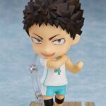 Descubre el apasionante mundo de Figura Nendoroid Hajime Iwaizumi.