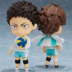 Descubre el apasionante mundo de Figura Nendoroid Hajime Iwaizumi.