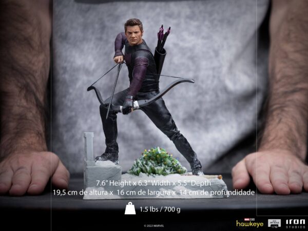 Descubre el apasionante mundo de Estatua BDS Art Scale Clint Barton.
