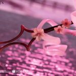 Descubre el apasionante mundo de Estatua Eyjafjalla Summer Flower.