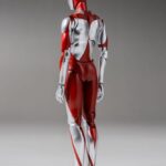 Descubre el apasionante mundo de Figura FigZero S Ultraman 15cm.