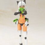 Descubre el apasionante mundo de Maqueta Arsia Another Color y FGM148.