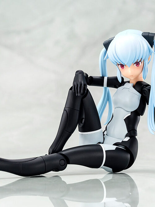 Descubre el apasionante mundo de Maqueta Busou Shinki Type Evil Strarf.