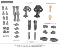 Descubre el apasionante mundo de Maqueta Busou Shinki Type Evil Strarf.