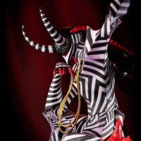 Descubre el apasionante mundo de Estatua Persona 5 Character Collection DX Roki.