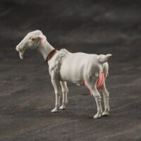 Descubre el apasionante mundo de Figuras GMG Cucuruz Doan y Blanca.