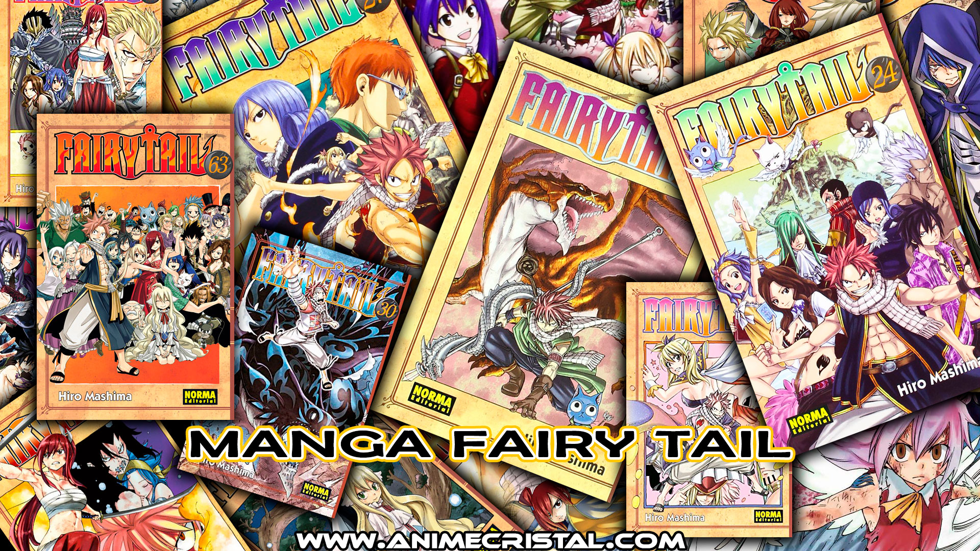 Manga Fairy Tail Manga Fairy Tail