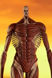 Descubre el apasionante mundo de Estatua Armin Arlert Colossus Titan L Size.