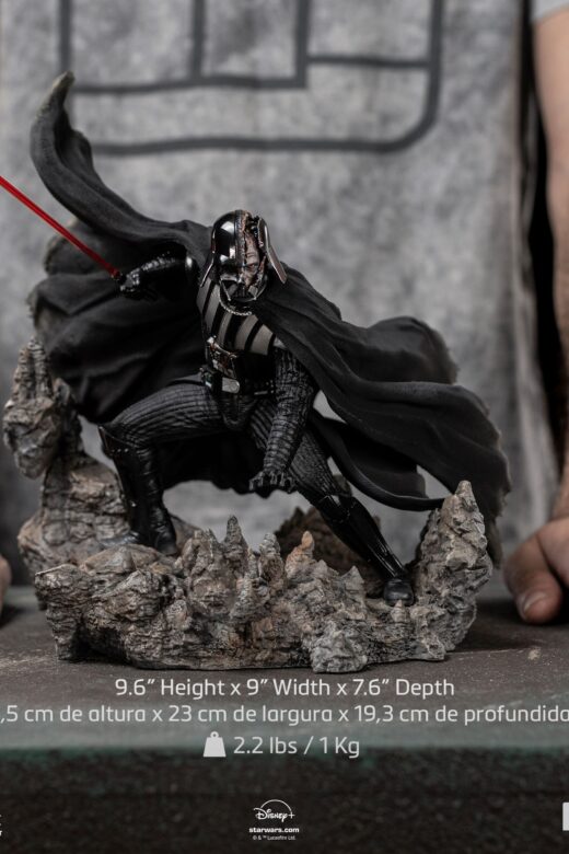 Descubre el apasionante mundo de Estatua BDS Art Scale Darth Vader 24 cm.