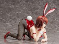 Descubre el apasionante mundo de Estatua Ryoko Mikado Bunny Version.