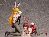 Descubre el apasionante mundo de Estatua Ryoko Mikado Bunny Version.