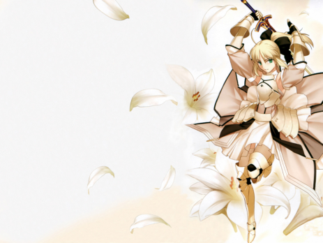 Fate/Unlimited Codes Wallpapers » Tu Tienda Anime Fate/Unlimited Codes Wallpapers