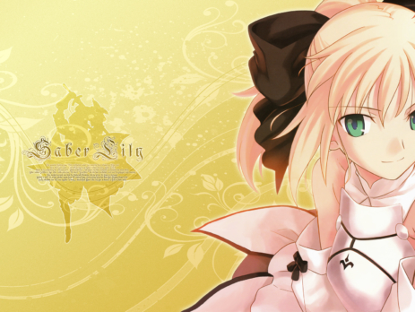 Fate/Unlimited Codes Wallpapers » Tu Tienda Anime Fate/Unlimited Codes Wallpapers