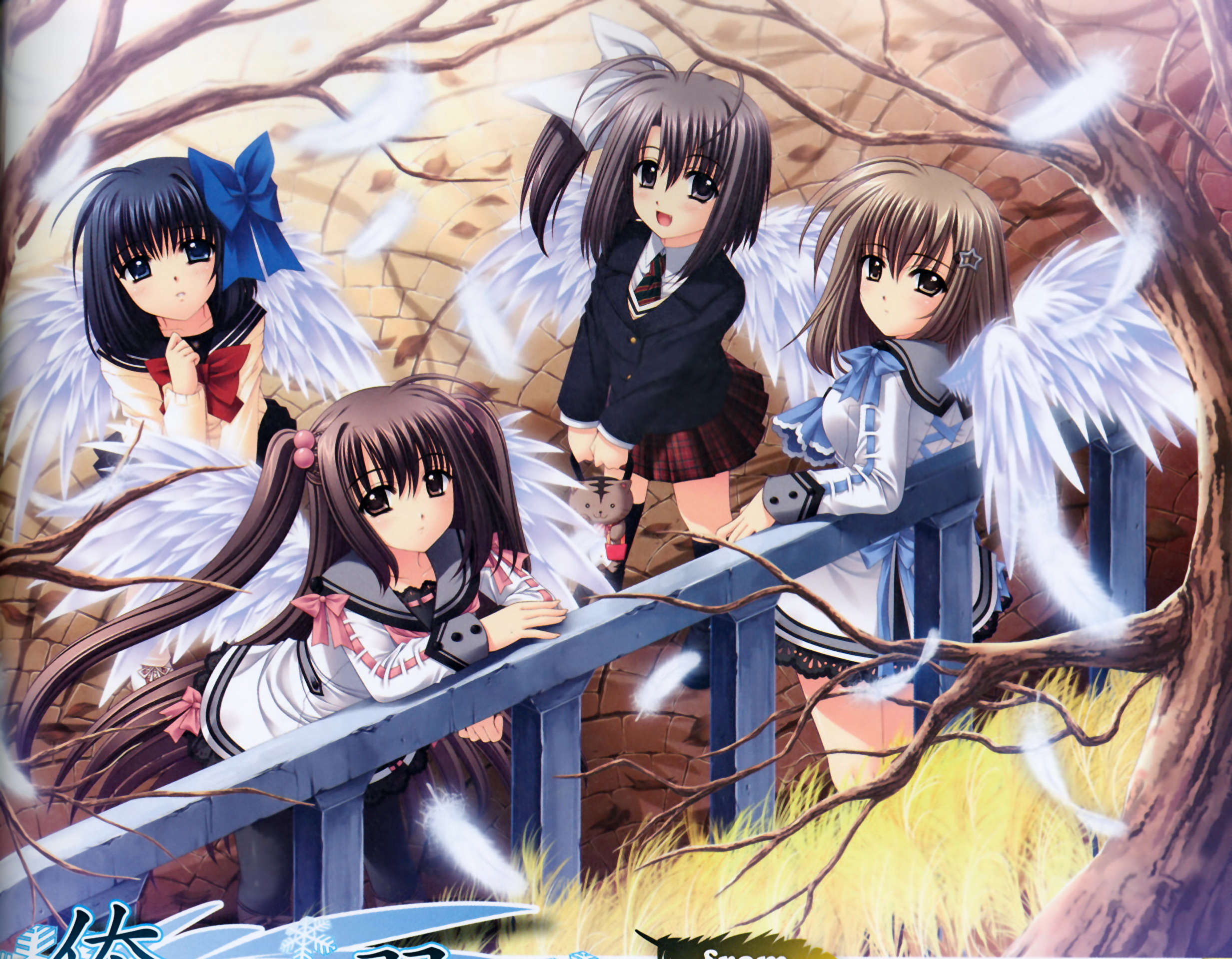 Ore Tachi ni Tsubasa wa Nai