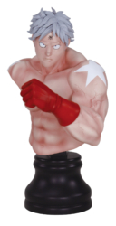 Descubre el apasionante mundo de Figura BMC Kinnikuman Serie 2 Terryman.