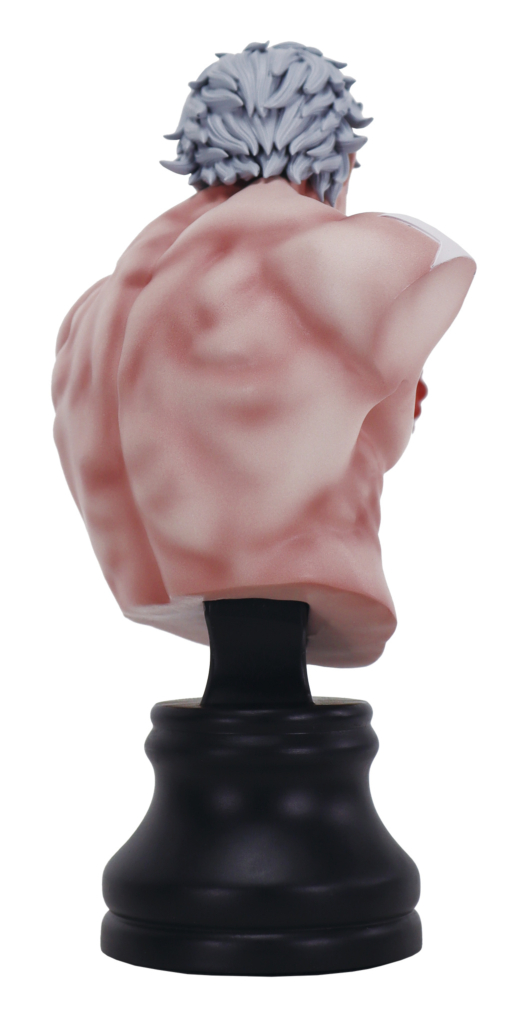 Descubre el apasionante mundo de Figura BMC Kinnikuman Serie 2 Terryman.