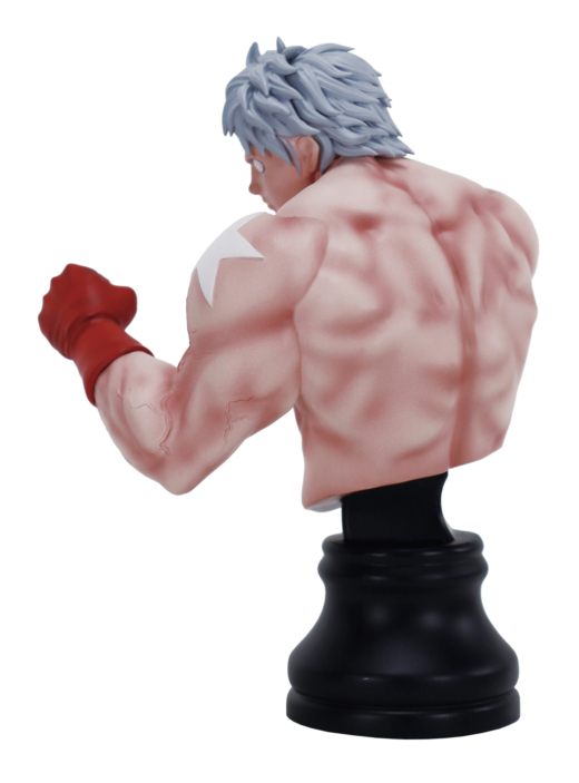 Descubre el apasionante mundo de Figura BMC Kinnikuman Serie 2 Terryman.