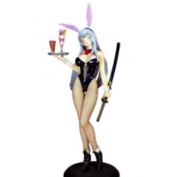 Descubre el apasionante mundo de Figura Shiryu Choun Versión Bunny Ikkitousen XX.
