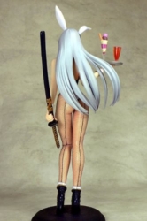 Descubre el apasionante mundo de Figura Shiryu Choun Versión Bunny Ikkitousen XX.