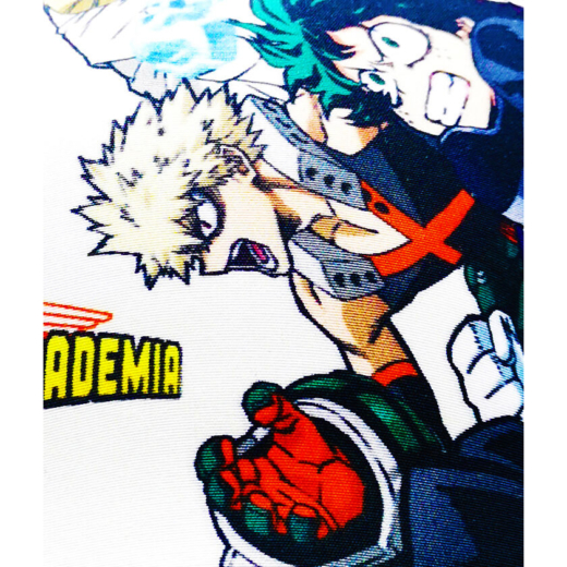 Descubre el apasionante mundo de Gorra Junior My Hero Academia.
