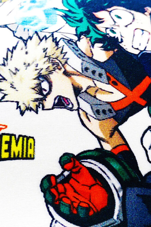 Descubre el apasionante mundo de Gorra Junior My Hero Academia.