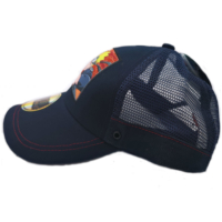 Descubre el apasionante mundo de Gorra Infantil Naruto Junior.