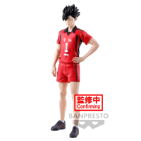 Descubre el apasionante mundo de Figura Tetsuro Kuroo Haikyu!! 19cm.