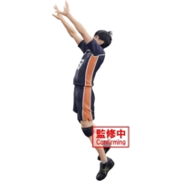 Descubre el apasionante mundo de Figura Tobio Kageyama Posing Haikyu 18 cm.