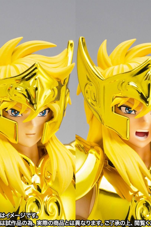 Figura Myth Cloth EX Saint Seiya Aquarius Hyoga Edición Limitada » Tu Tienda Anime Descubre el apasionante mundo de Figura Myth Cloth EX Saint Seiya Aquarius Hyoga Edición Limitada.