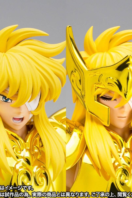Figura Myth Cloth EX Saint Seiya Aquarius Hyoga Edición Limitada » Tu Tienda Anime Descubre el apasionante mundo de Figura Myth Cloth EX Saint Seiya Aquarius Hyoga Edición Limitada.